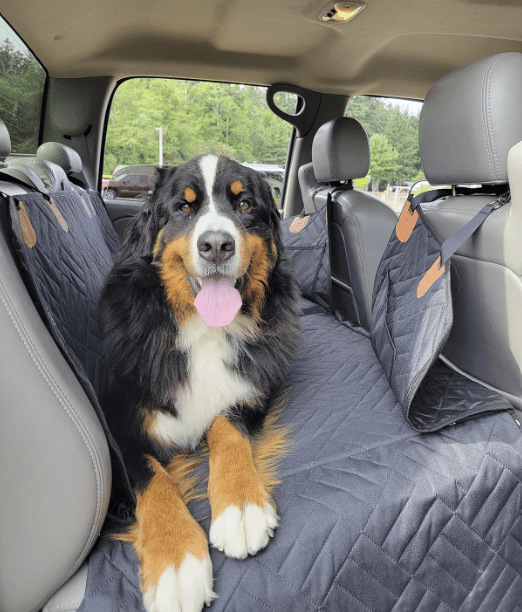 Hard Bottom Car Seat Cover